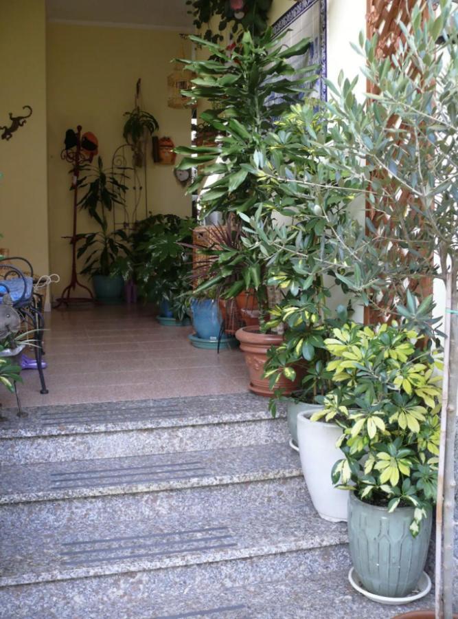 Lovely Flat In Northern Sardinia Валледория Экстерьер фото